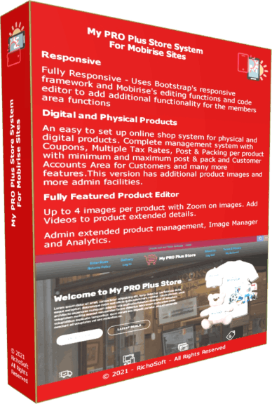 E-commerce Systems